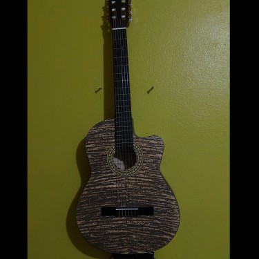 Acoustic Guitar (fairly New)