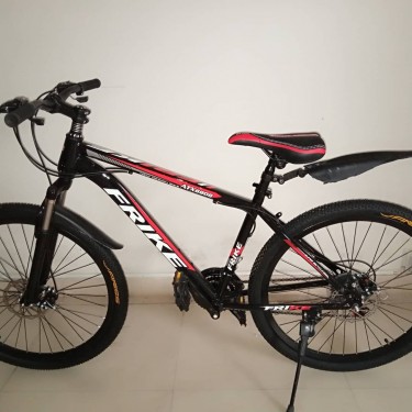 Sport Performance Bicycle 