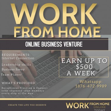 Own Your Own Online Business 