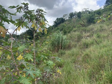 2.5 Acres Of Land