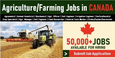 Farm Work Opportunities In Canada 1 Year Program.