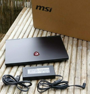 MSI GE75 Raider 10SGS Gaming Laptop 