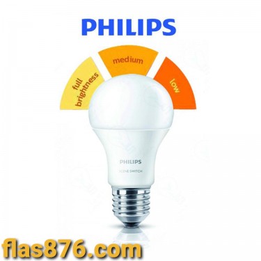 Philips 9w 3 Setting SceneSwitch Energy Saving LED