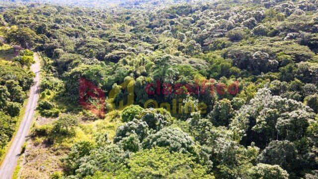44 + Acres-Oxford Estate, Free Hill, St. Mary