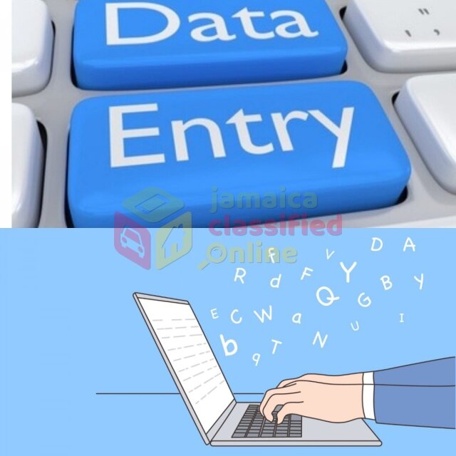 Offering Data Entry Or Typing Service