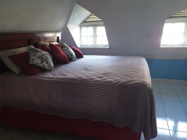 1 Bedroom Loft Apartment