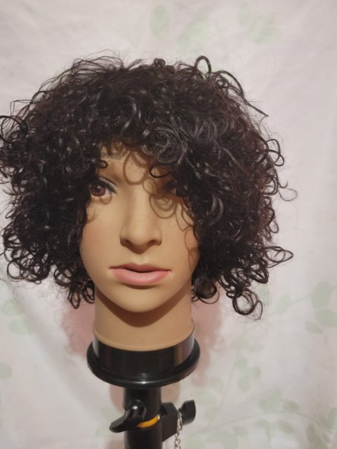 Brand New Wig (Hot Sale)
