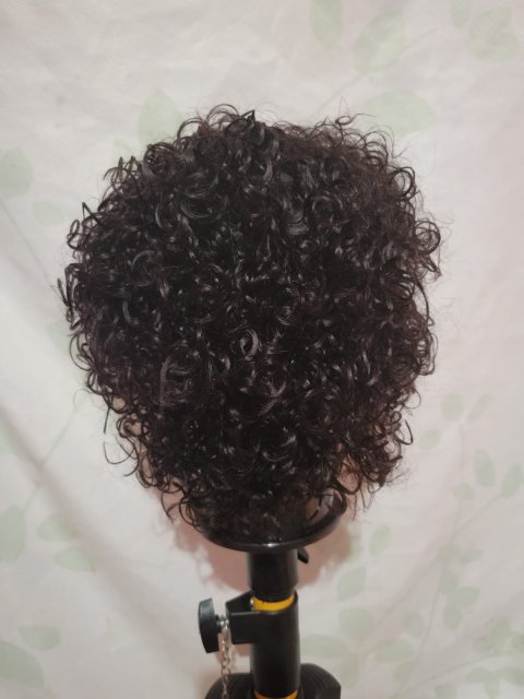 Brand New Wig (Hot Sale)