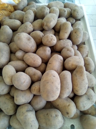  Imported Irish Potatoes $180.00 Per Lb