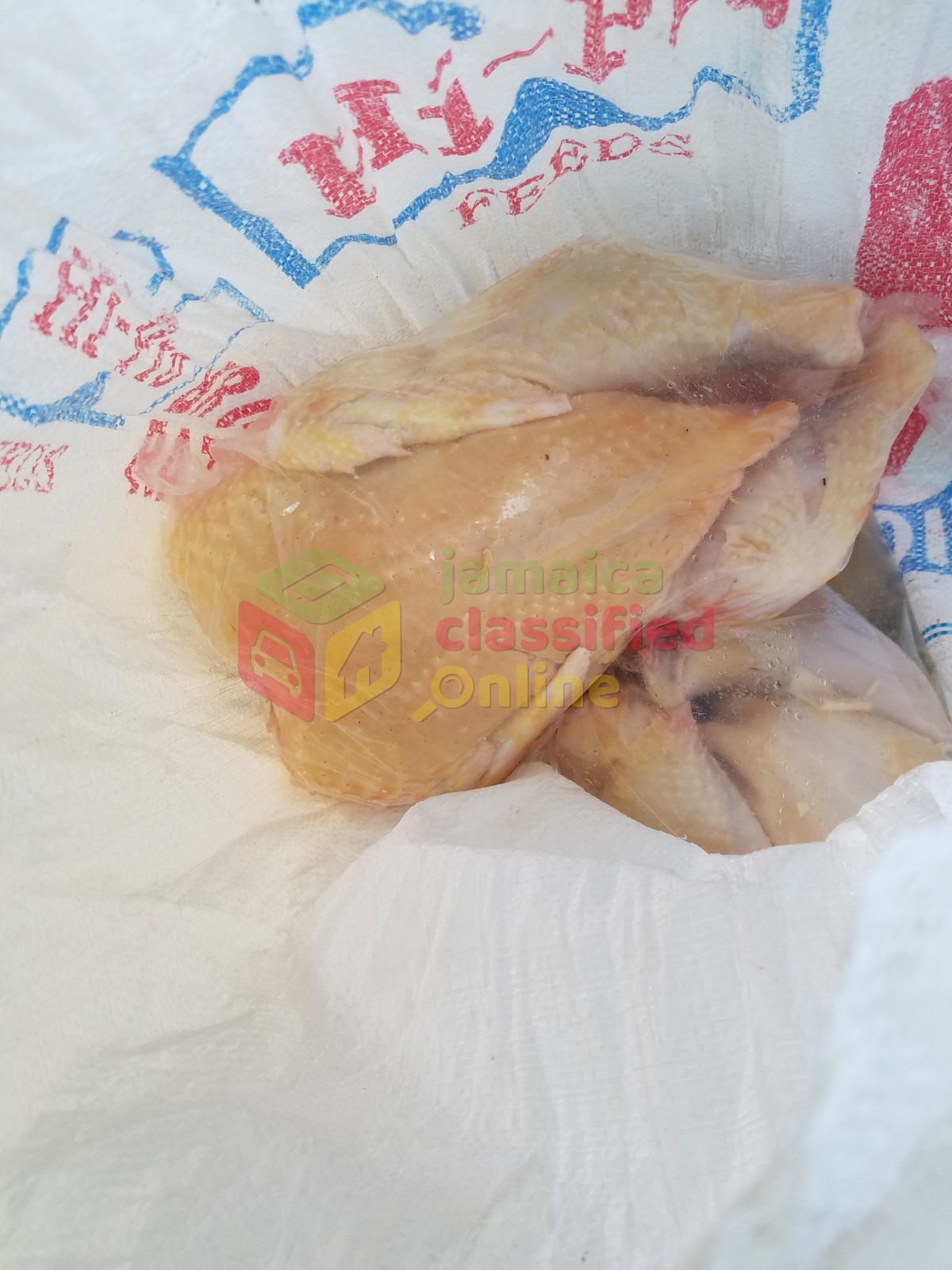 For Sale Whole Broiler Chickens Salt Marsh Trelawny