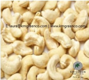 Vietnamese Cashew Nut Kernels WW240, 