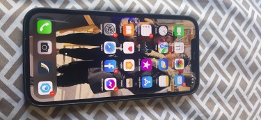 Iphone 12 Pro Max (256 Gb)