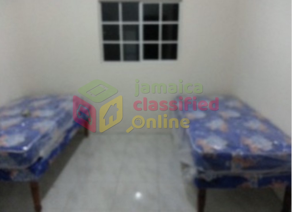 Furnished 1 Bedroom For Female Shared For Rent In 134 Gold Smith