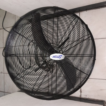 Fans, Furniture & Appliances 