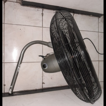 Fans, Furniture & Appliances 