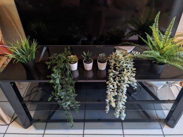 Luscious Plastic Plants (IKEA)
