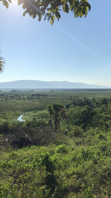 Quarter Acre Of Land