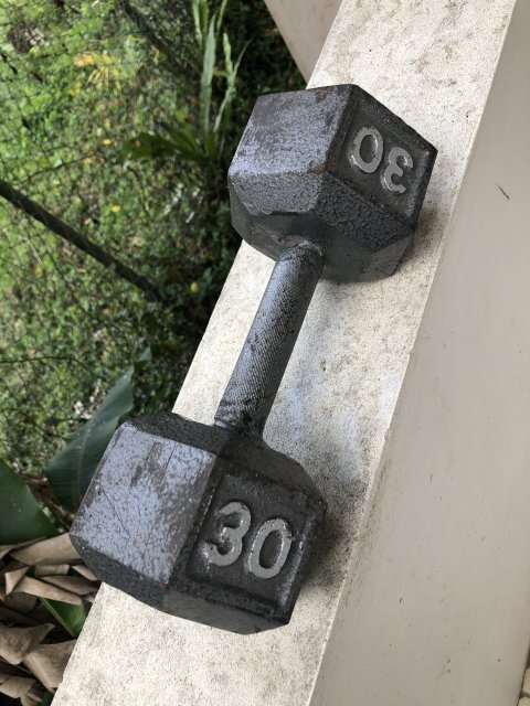 30 Lb Weights