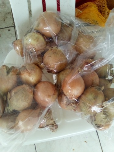  Onions  $210 Per Lb