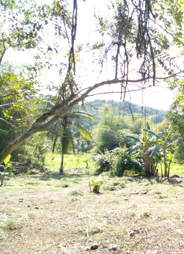 1/4 Acre Of Land For Sale 