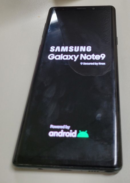 Samsung Galaxy Note 9 (Black)
