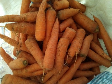  Carrots For $180 PER LB