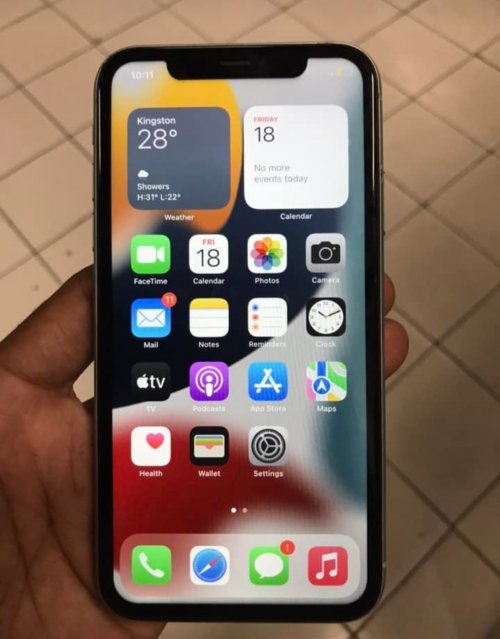 Daily New IPhone 11