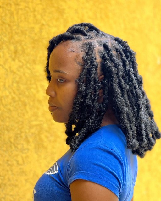 Butterfly Locs Installation Hair Special
