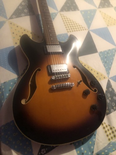 Semi Hollow Body Guitar With Case