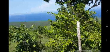 SAMUEL PROSPECT..1 ACRE LAND WITH SEA VIEW