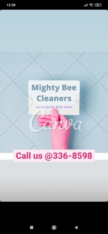 Mighty Bee Cleaners