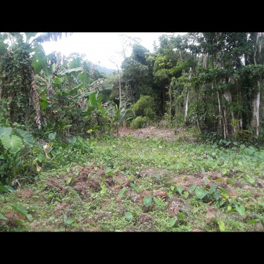 1 Acre Of Land