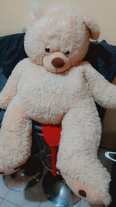 Huge Teddy Bear