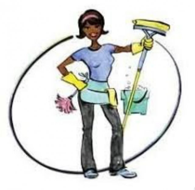 Diamond Cleaning Services
