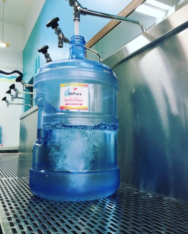 Distilled Water - 1 Gallon Bottle (AllPure)
