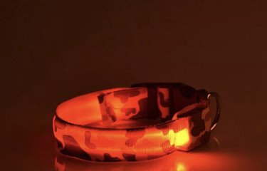 LED Dog Collar 