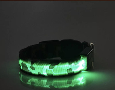 LED Dog Collar 