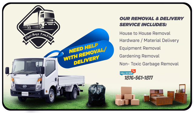 Removal And Delivery Services