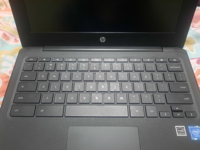 HP Chromebook (2021)