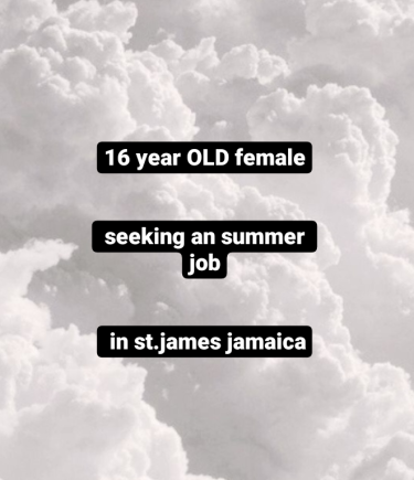 16 Year Old Female Seeking An Summer Job.