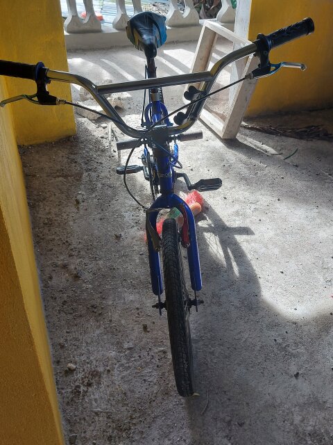 Viper Stunt Bicycle