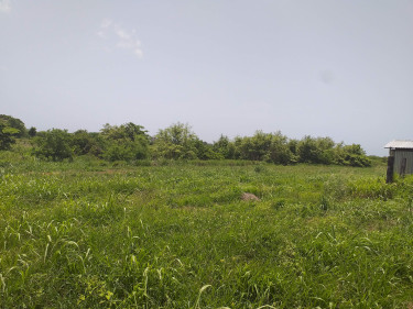 5 Acres Of Farm Land For Sale - Old Harbour