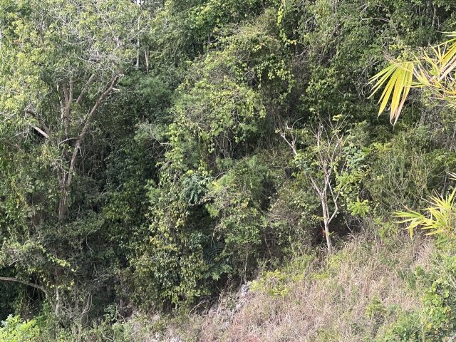 1.09Acre Land In Smokey Vale