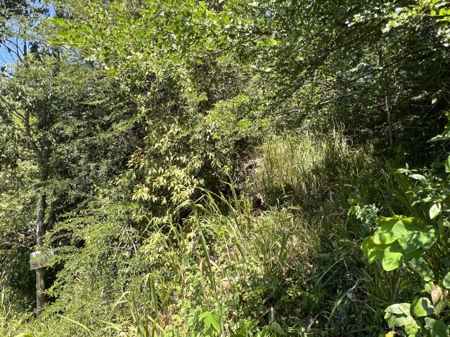 1.09Acre Land In Smokey Vale