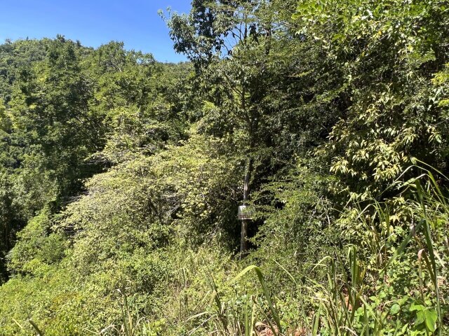 1.09Acre Land In Smokey Vale