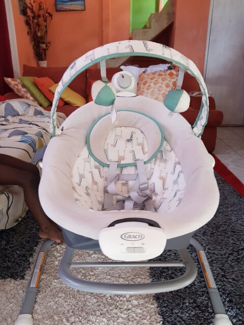 Graco Soothe Swing And Rocker