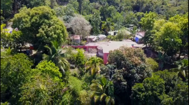 5.4 Acre Fruit Farm With 4 Bed House Land Lucea