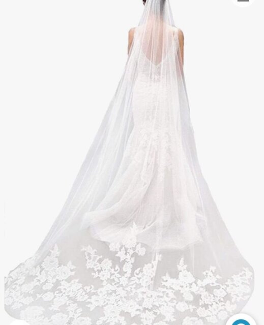 WEDDING DEAL- Dress,  Veil And Petticoat