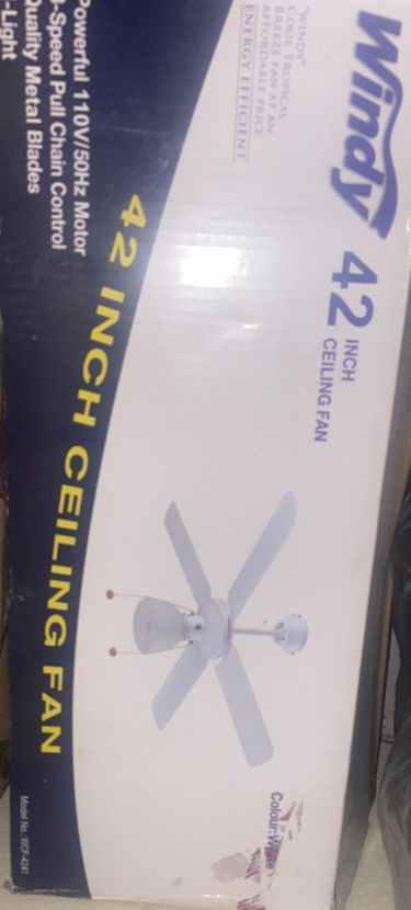 Windy Ceiling Fan With Light Bulb 
