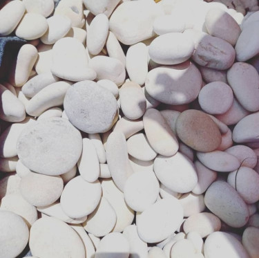 Landscaping Sea Stones For Sale 